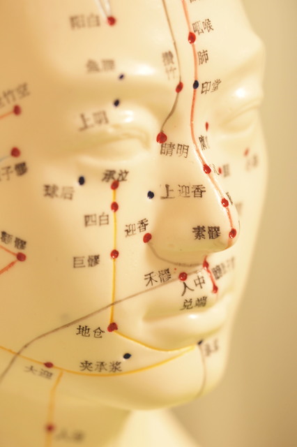 東洋医学・ツボ人体模型|Kanamori鍼灸院