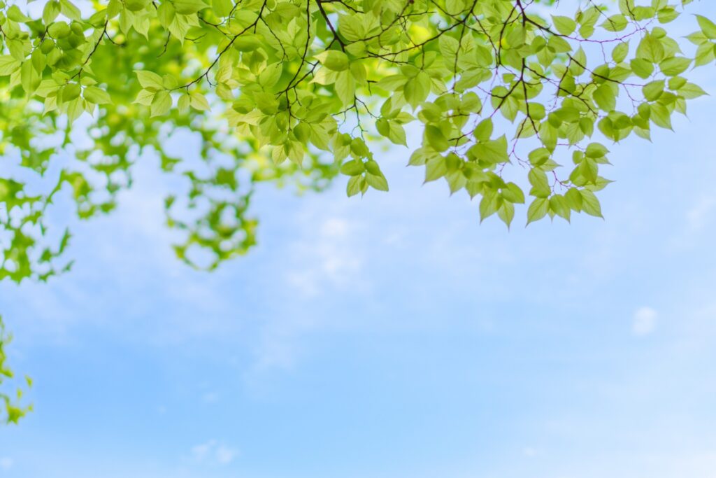 妊娠中のお悩み｜Kanamori鍼灸院